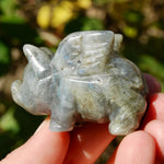 Galaxy Labradorite Carved Crystal Flying Pig