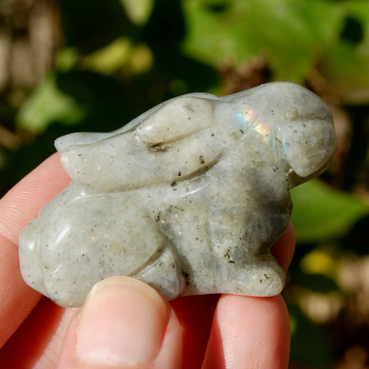 Dream Rabbit Crystal Labradorite Crystal Rabbit | Stone of Transformation & Luck