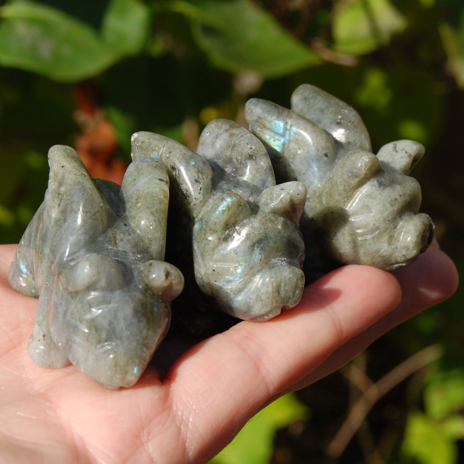 Galaxy Labradorite Carved Crystal Flying Pig