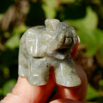 Labradorite Crystal Elephant Carving