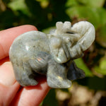 Labradorite Crystal Elephant Carving