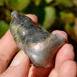 Labradorite Crystal Teddy Bear Carving