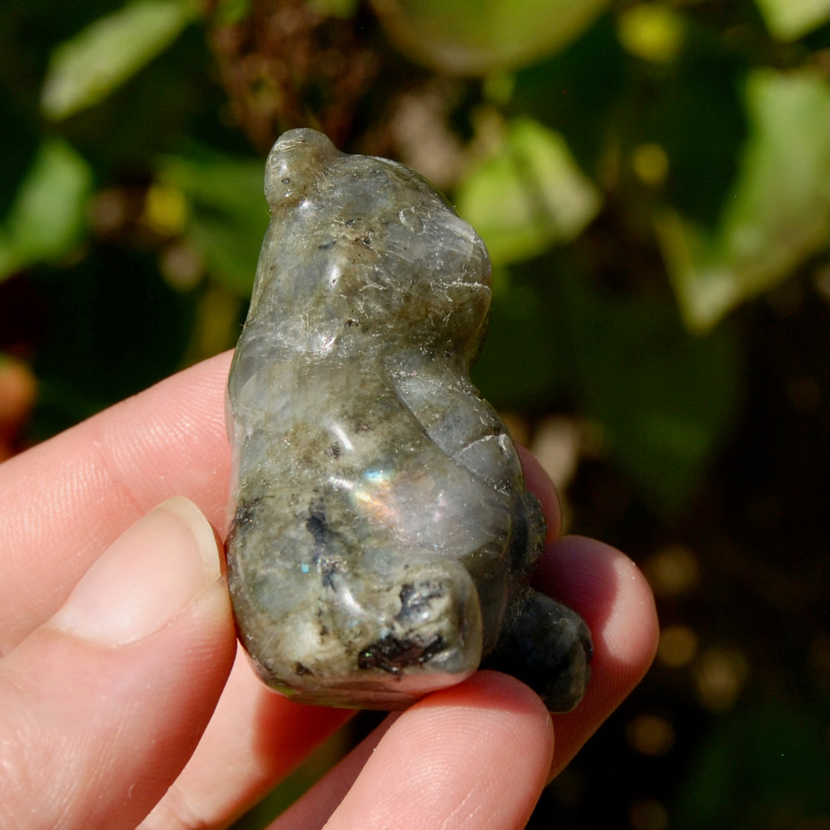 Labradorite Crystal Teddy Bear Carving