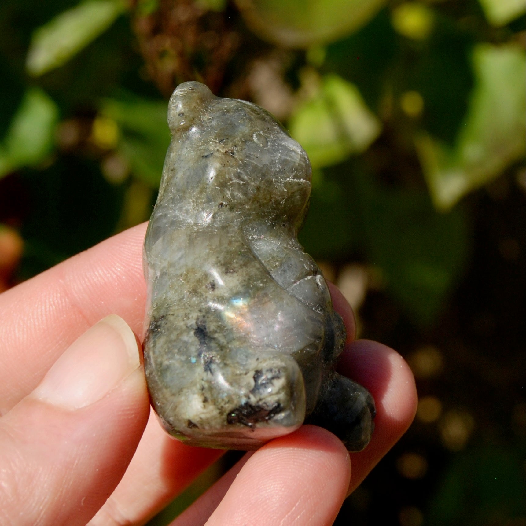 Labradorite Crystal Teddy Bear Carving