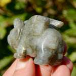 Galaxy Labradorite Carved Crystal Flying Pig