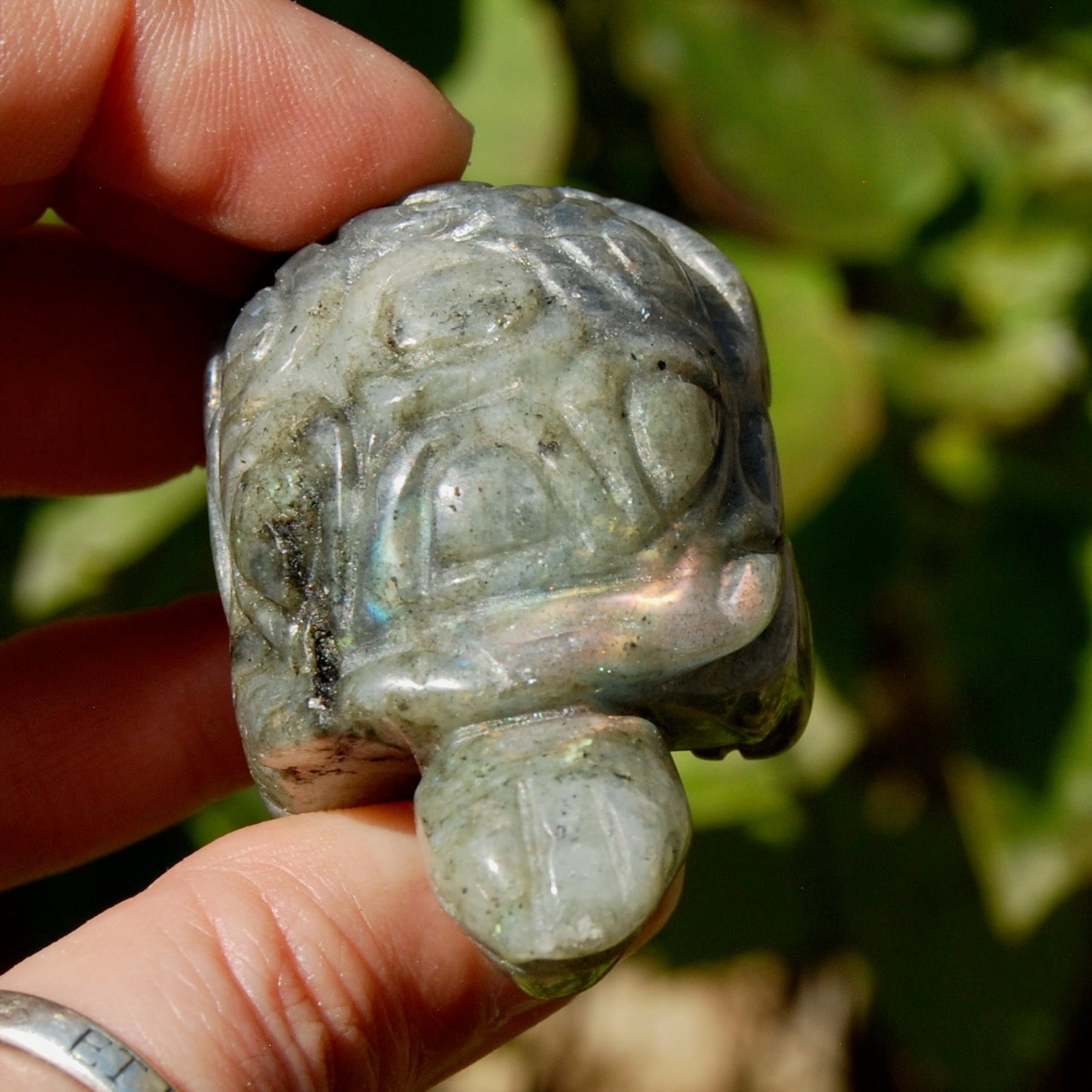 Labradorite Crystal Turtle Carving