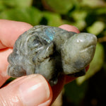 Labradorite Crystal Turtle Carving