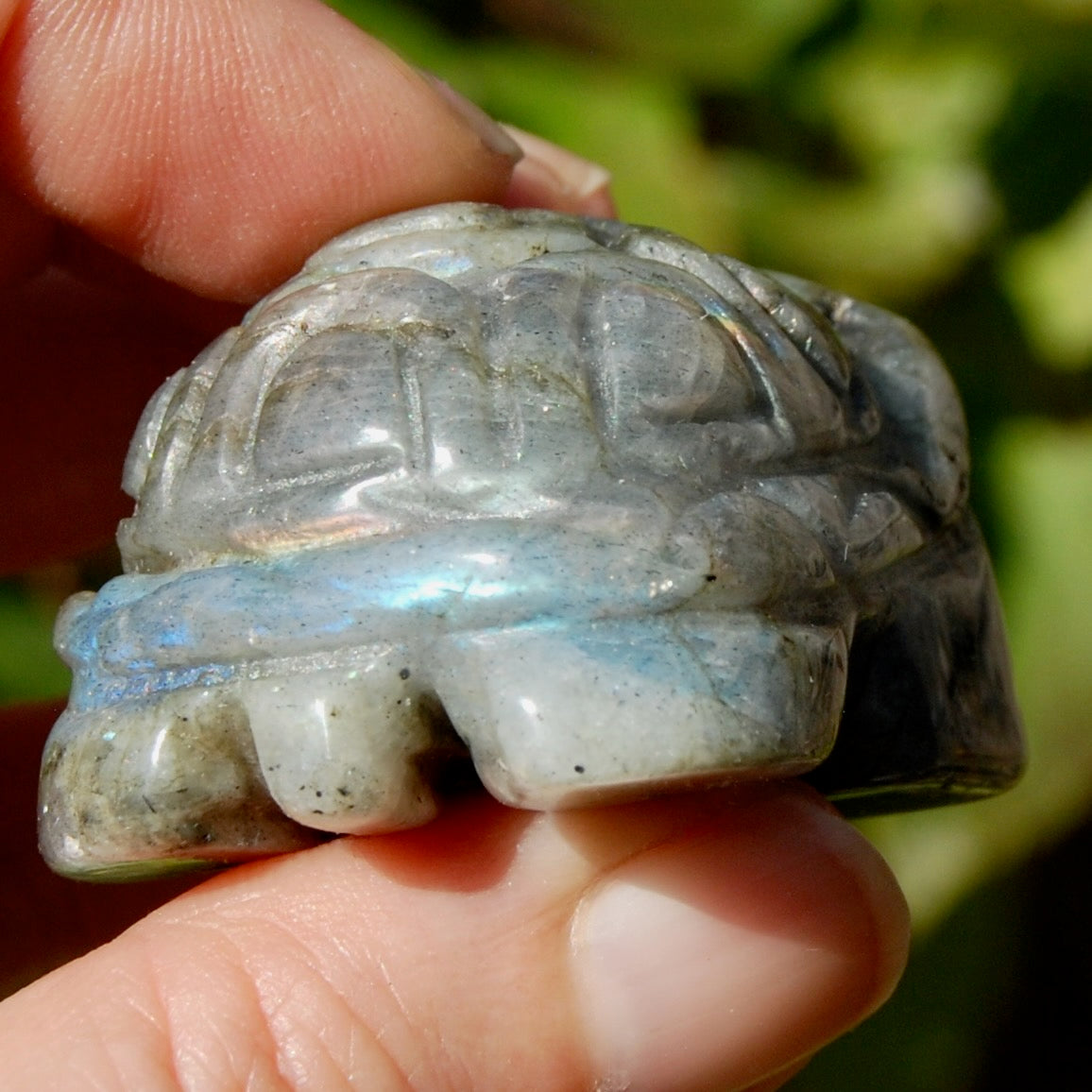Labradorite Crystal Turtle Carving