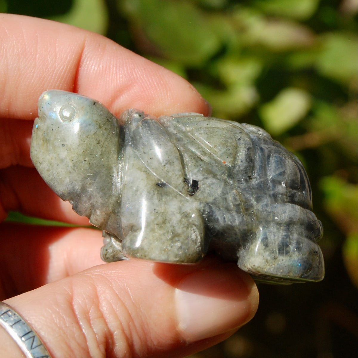 Labradorite Crystal Turtle Carving