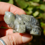 Labradorite Crystal Turtle Carving