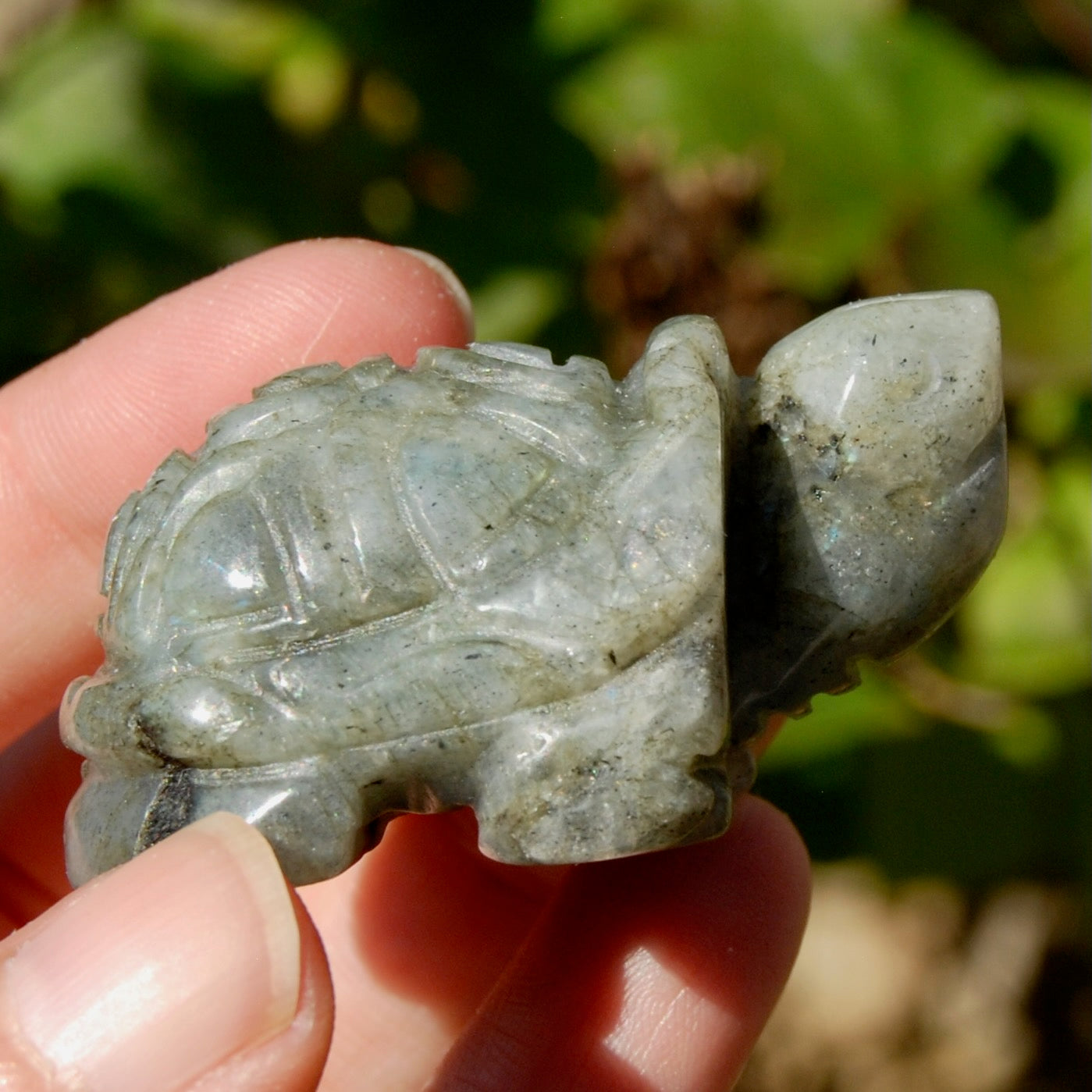 Labradorite Crystal Turtle Carving