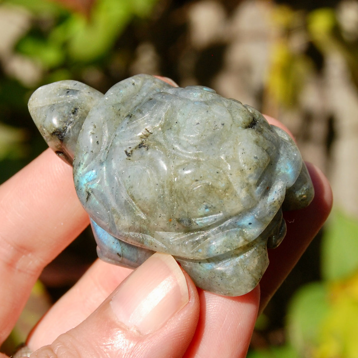 Labradorite Crystal Turtle Carving