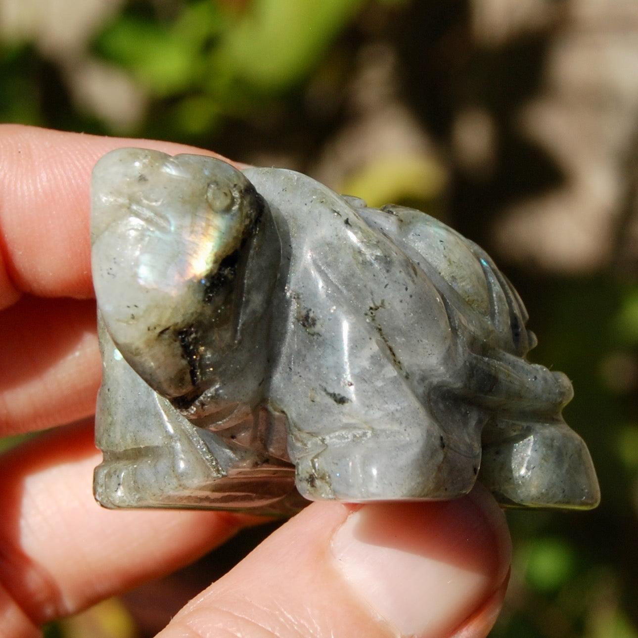 Labradorite Crystal Turtle Carving