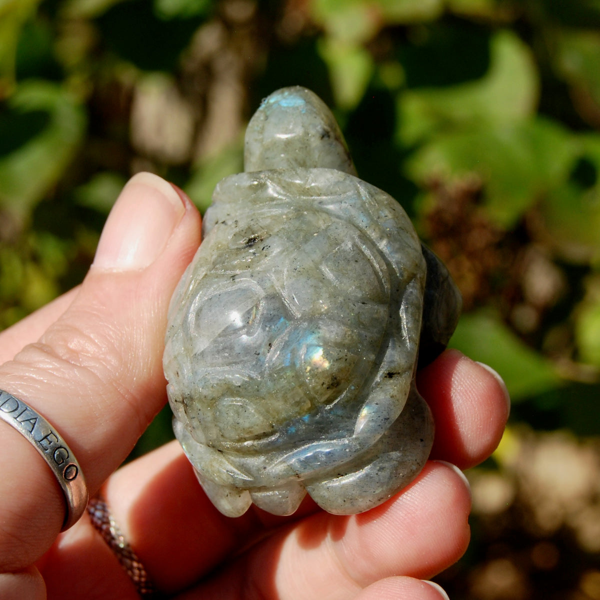 Labradorite Crystal Turtle Carving