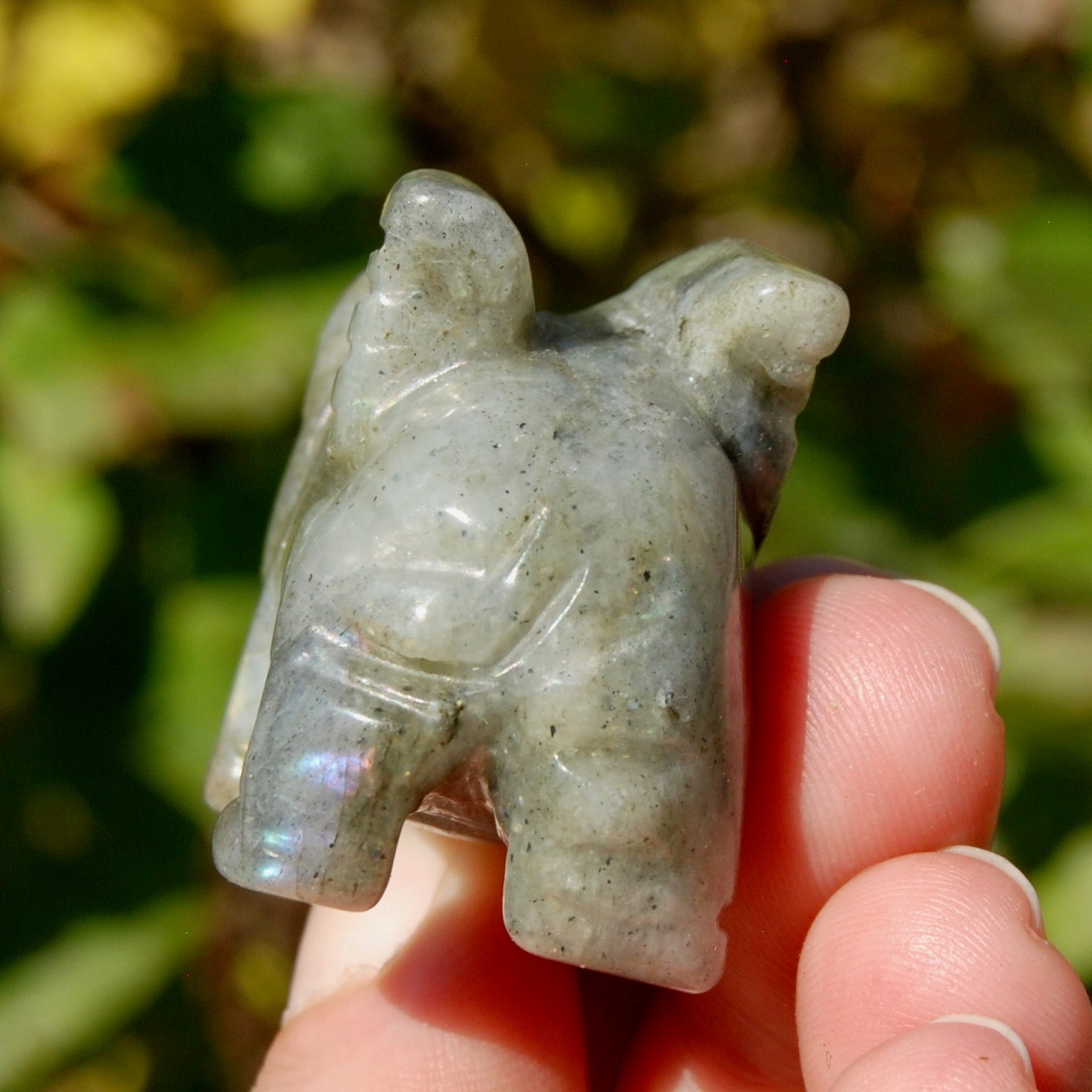 Galaxy Labradorite Carved Crystal Flying Pig