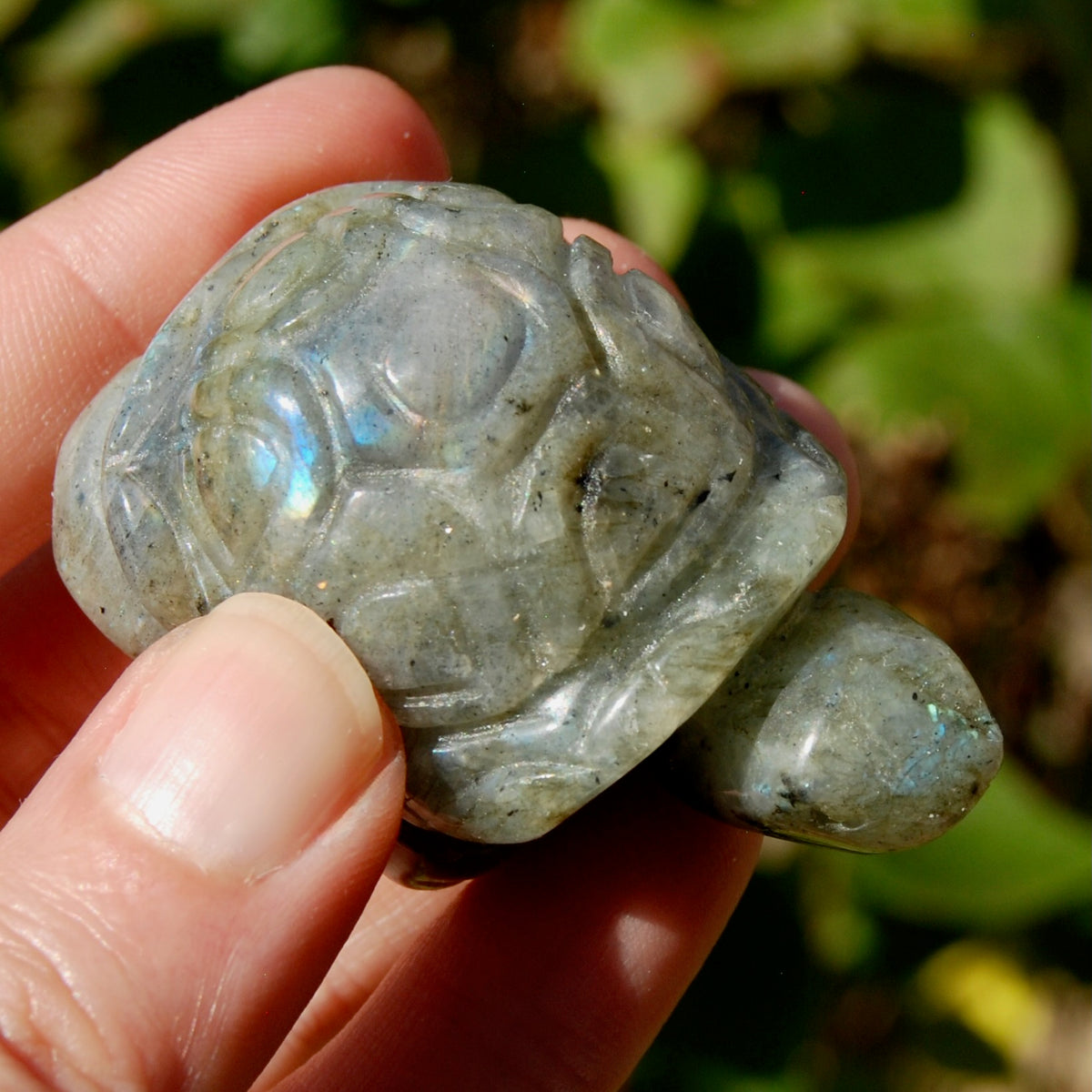 Labradorite Crystal Turtle Carving