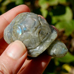 Labradorite Crystal Turtle Carving