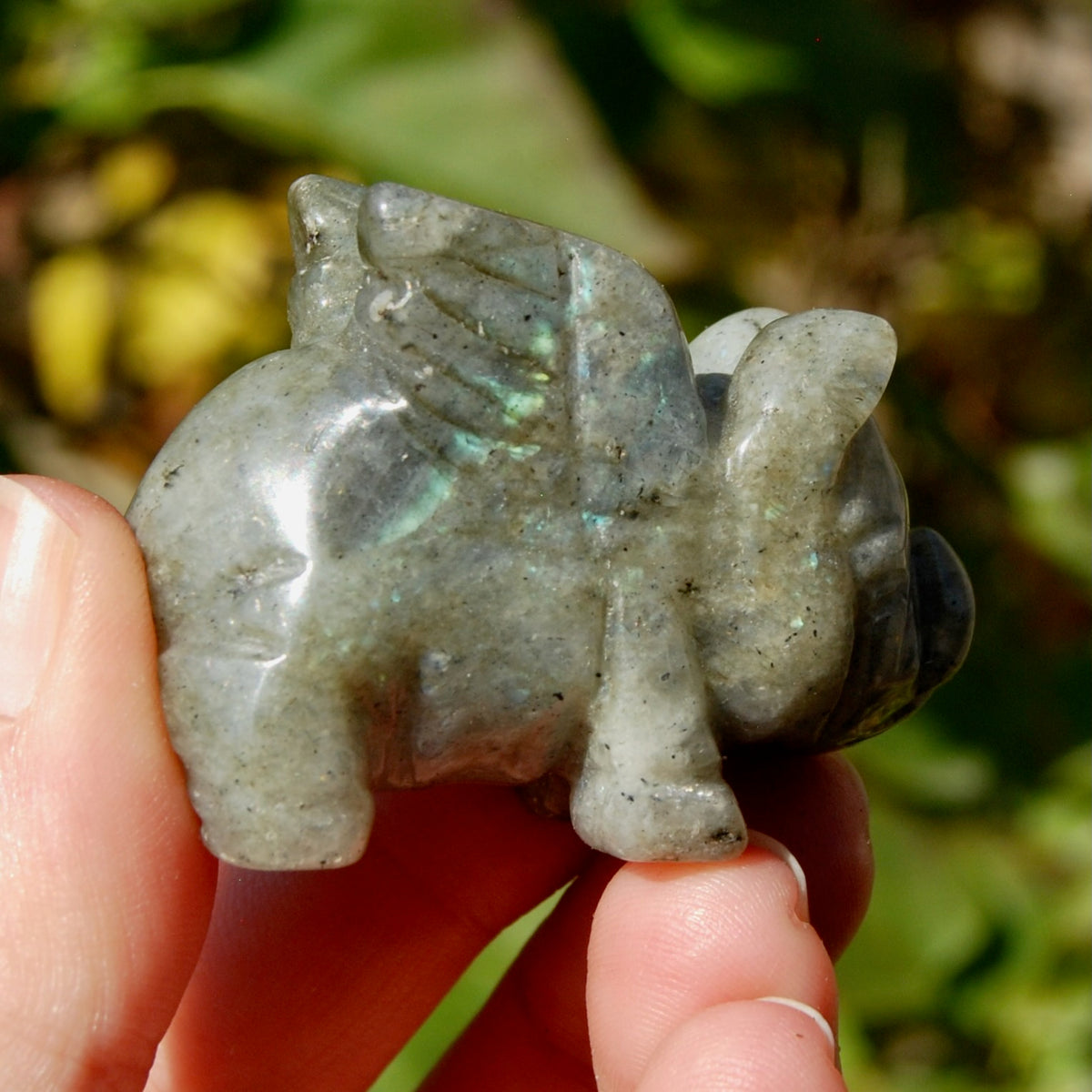 Galaxy Labradorite Carved Crystal Flying Pig
