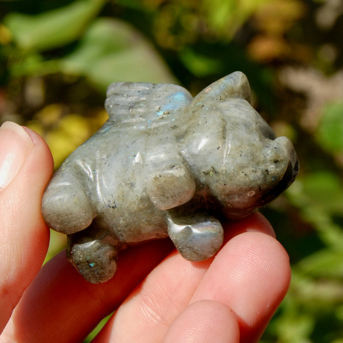 Galaxy Labradorite Carved Crystal Flying Pig