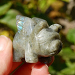 Galaxy Labradorite Carved Crystal Flying Pig