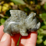 Galaxy Labradorite Carved Crystal Flying Pig