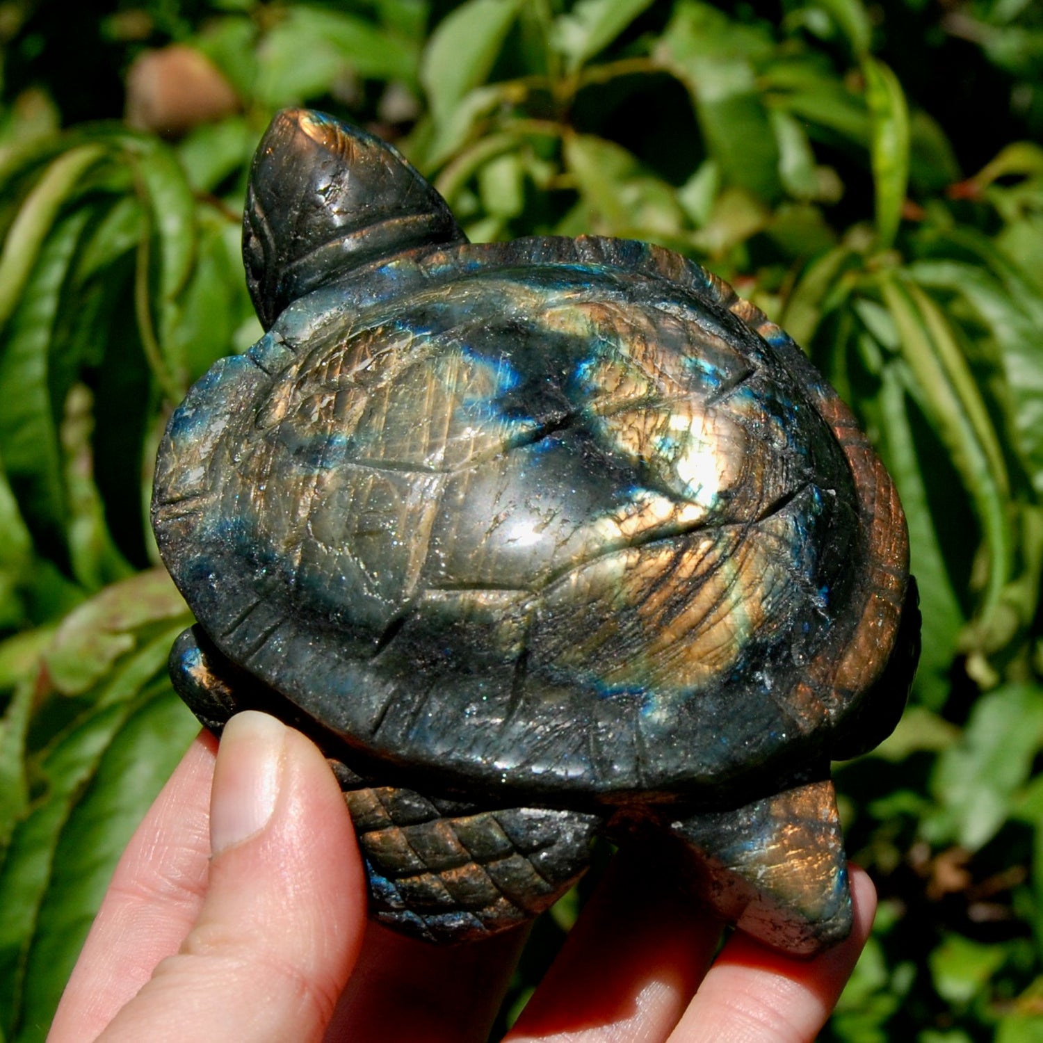 Large Flashy Labradorite Crystal Turtle Carving – 5.25" 587g Transformation & Protection Stone