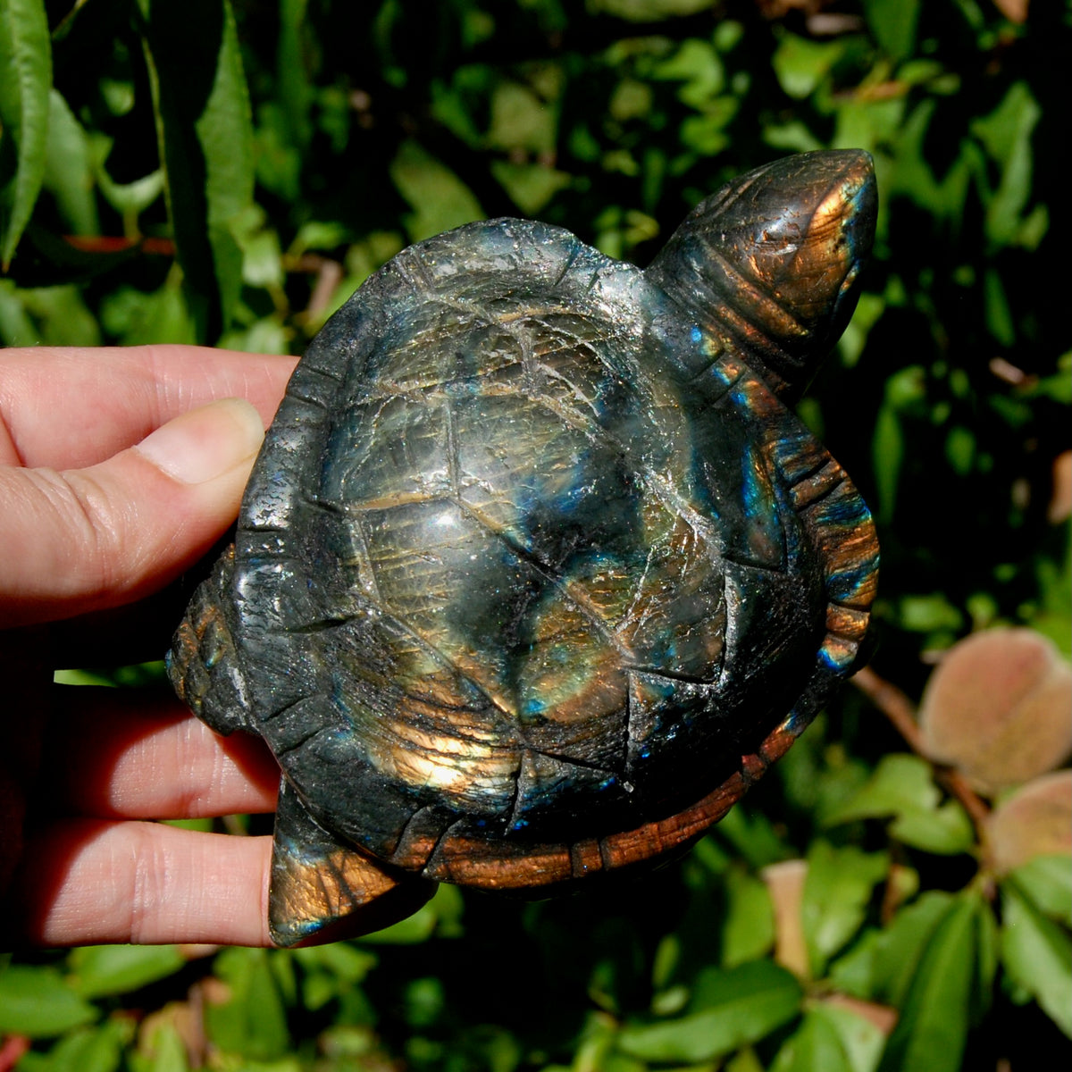 Large Flashy Labradorite Crystal Turtle Carving – 5.25" 587g Transformation & Protection Stone