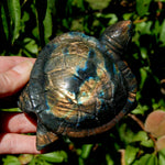 Large Flashy Labradorite Crystal Turtle Carving – 5.25" 587g Transformation & Protection Stone