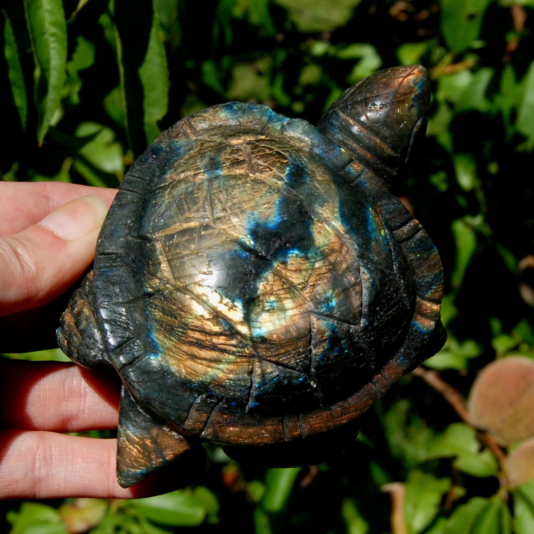 Large Flashy Labradorite Crystal Turtle Carving – 5.25" 587g Transformation & Protection Stone