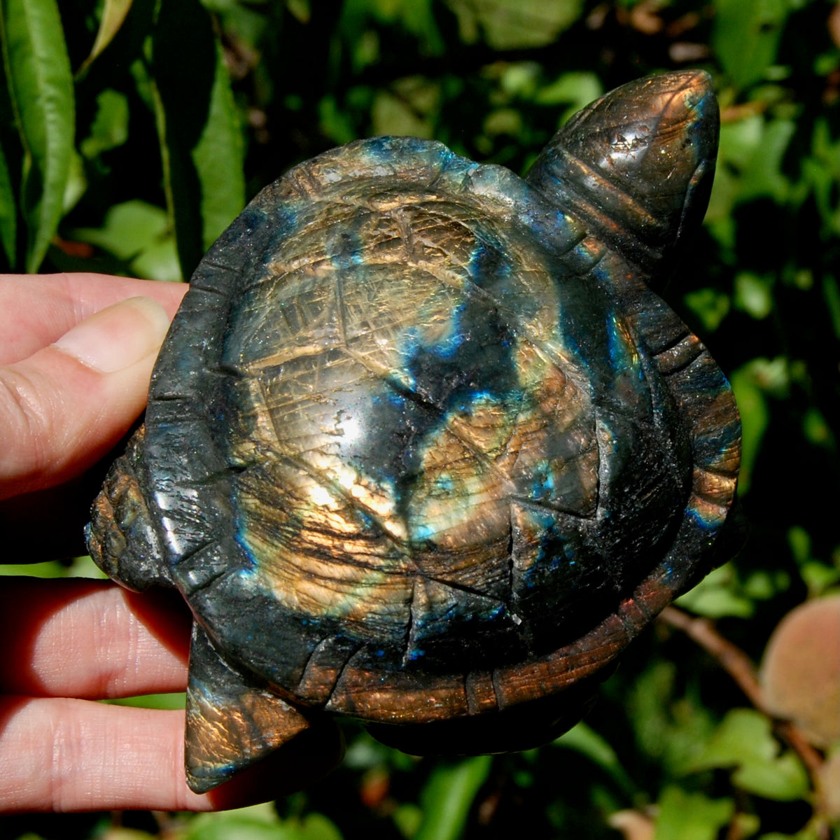 Large Flashy Labradorite Crystal Turtle Carving – 5.25" 587g Transformation & Protection Stone