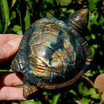 Large Flashy Labradorite Crystal Turtle Carving – 5.25" 587g Transformation & Protection Stone