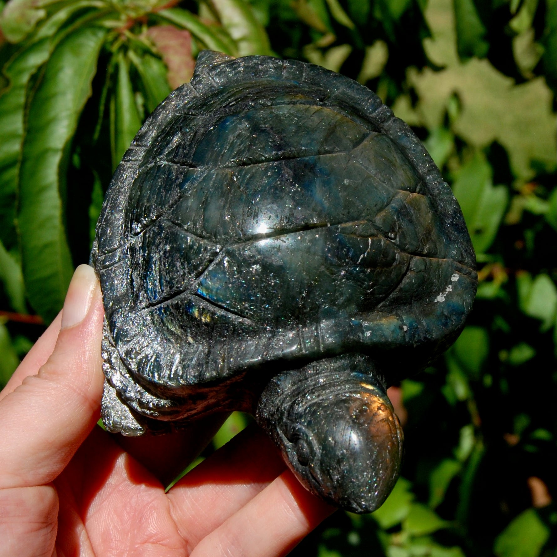Large Flashy Labradorite Crystal Turtle Carving – 5.25" 587g Transformation & Protection Stone