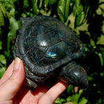 Large Flashy Labradorite Crystal Turtle Carving – 5.25" 587g Transformation & Protection Stone