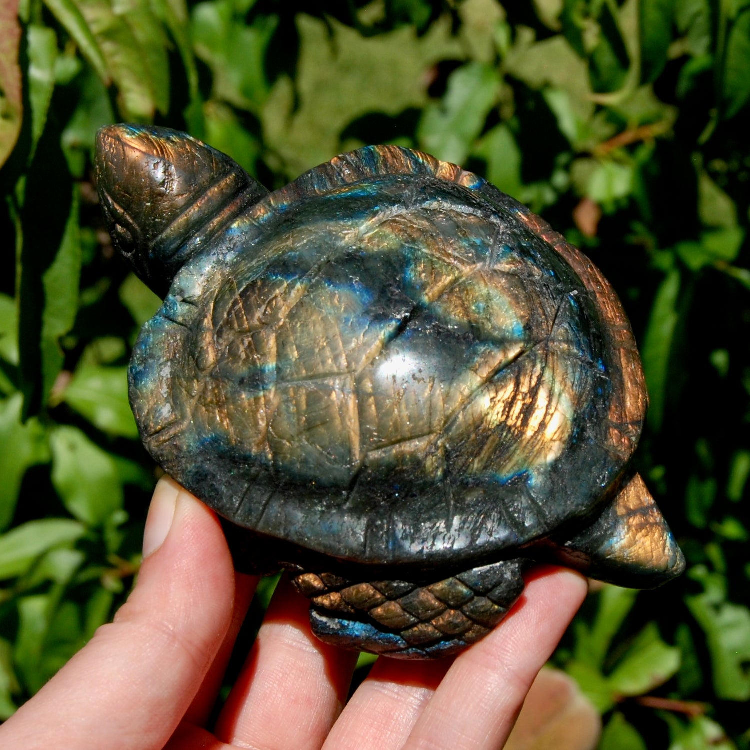 Large Flashy Labradorite Crystal Turtle Carving – 5.25" 587g Transformation & Protection Stone