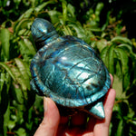 Large flashy Labradorite Crystal Turtle carving, 5.5 inches, 712 grams