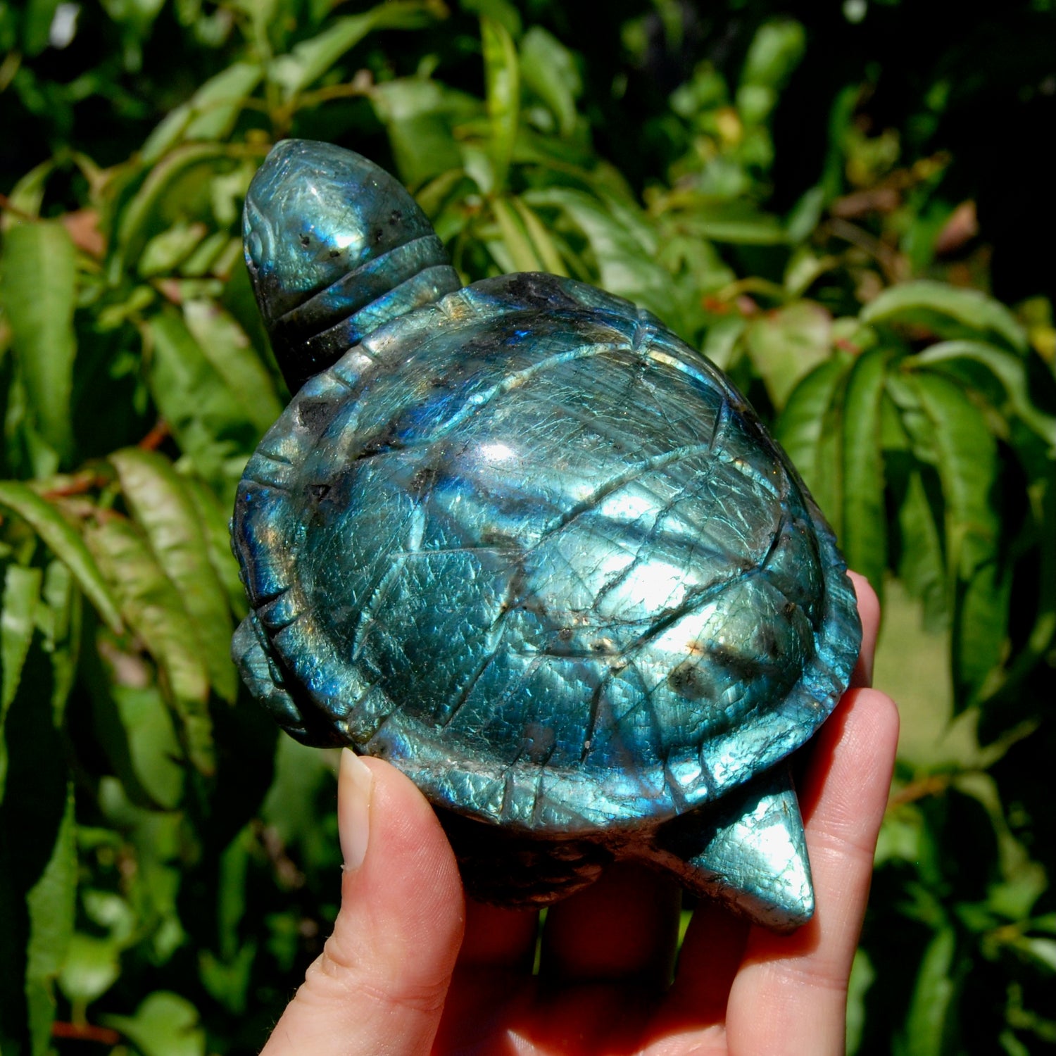 Large flashy Labradorite Crystal Turtle carving, 5.5 inches, 712 grams