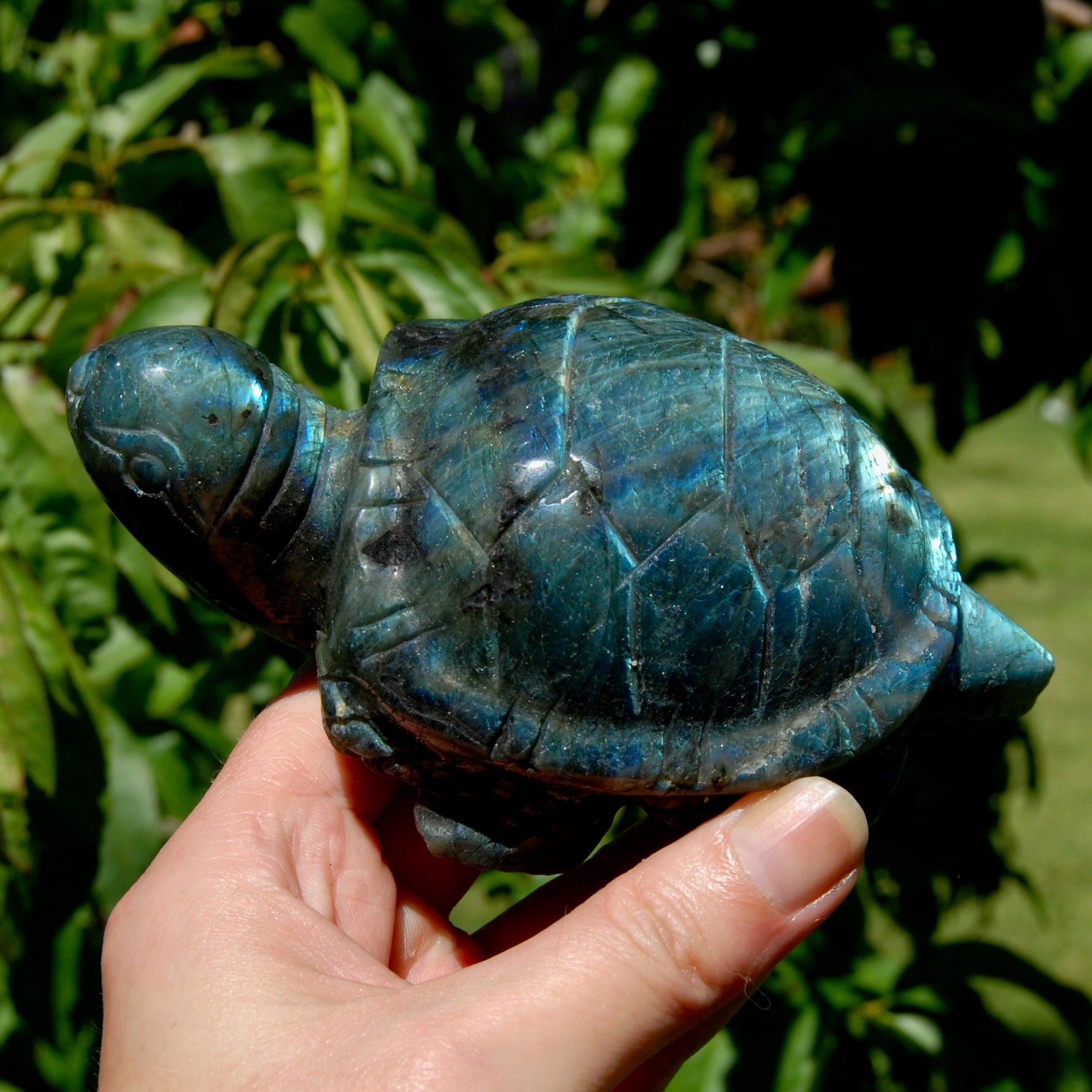 Large flashy Labradorite Crystal Turtle carving, 5.5 inches, 712 grams