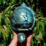 Large flashy Labradorite Crystal Turtle carving, 5.5 inches, 712 grams