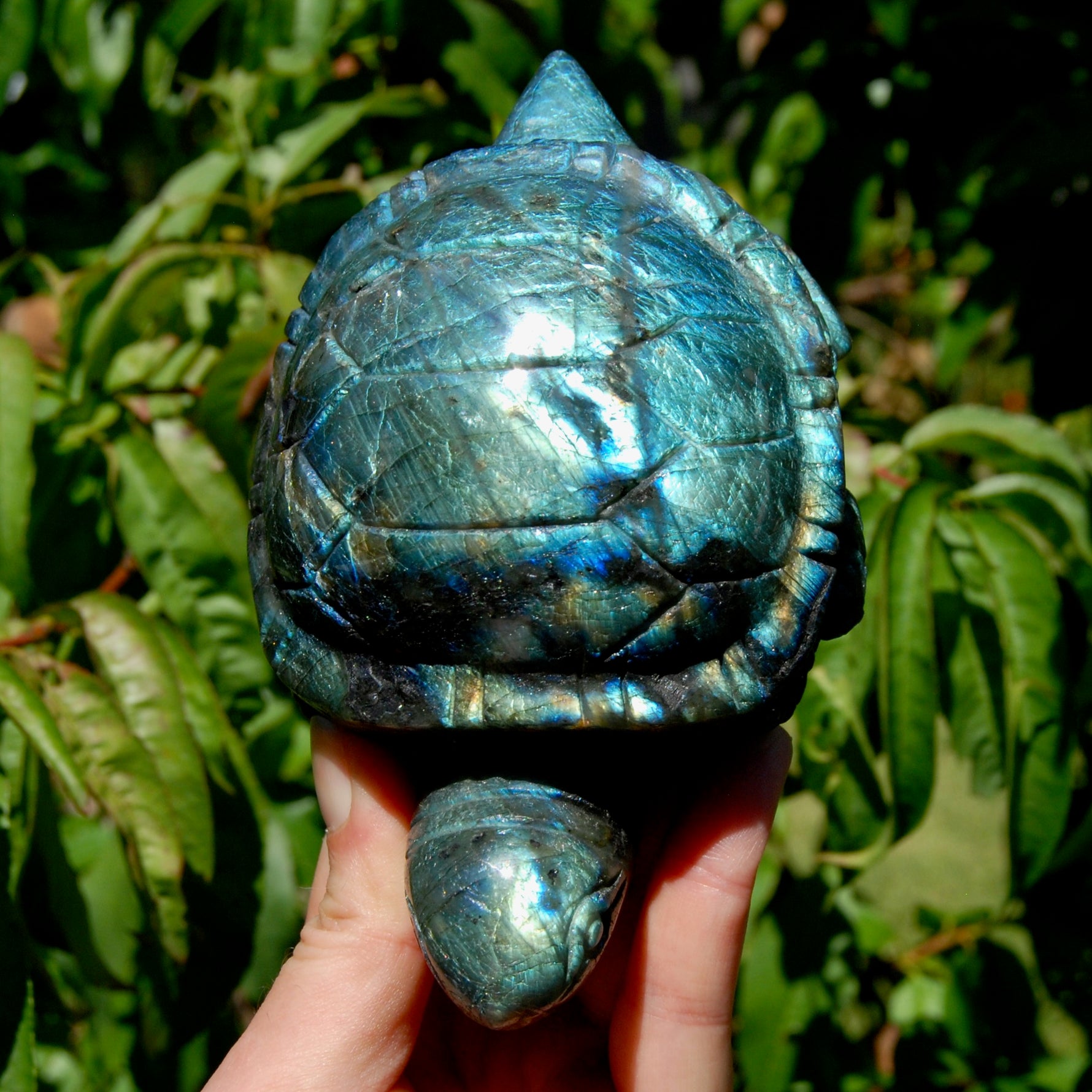 Large flashy Labradorite Crystal Turtle carving, 5.5 inches, 712 grams