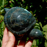 Large flashy Labradorite Crystal Turtle carving, 5.5 inches, 712 grams