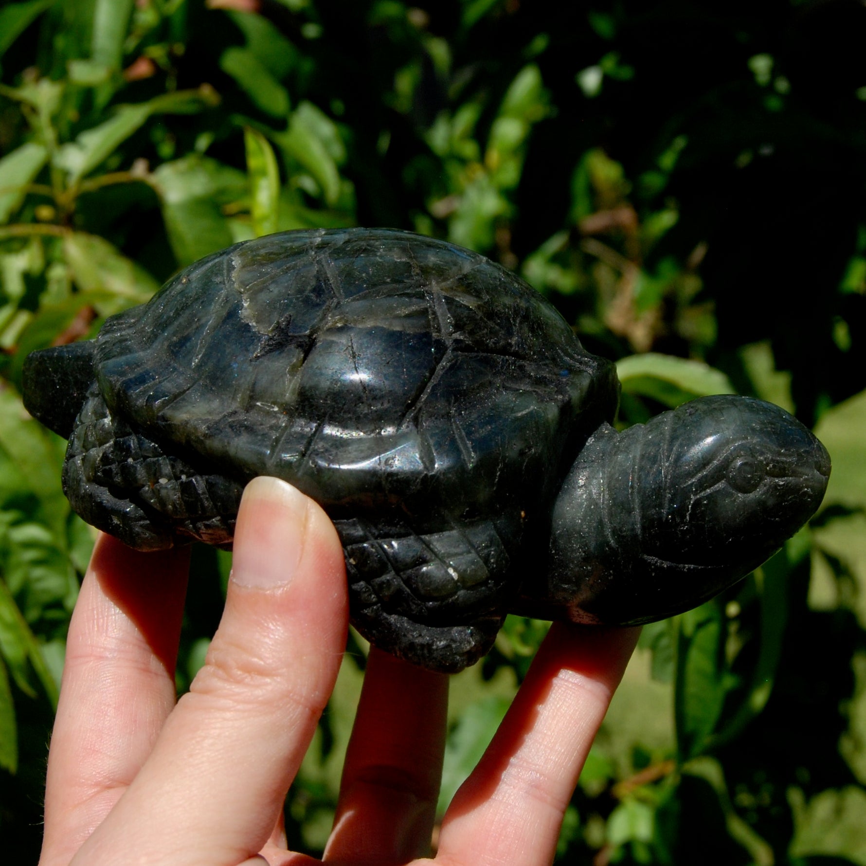 Large flashy Labradorite Crystal Turtle carving, 5.5 inches, 712 grams