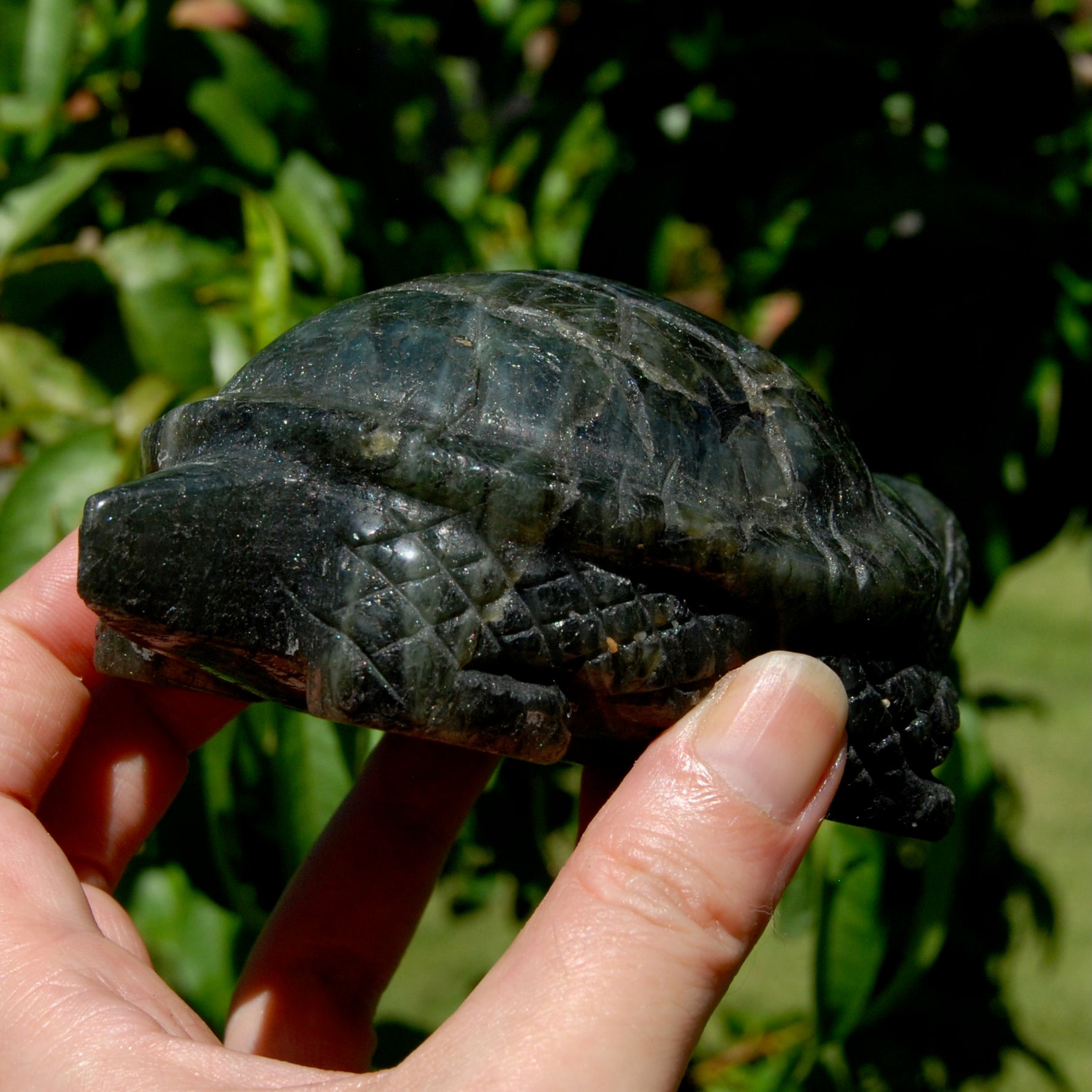 Large flashy Labradorite Crystal Turtle carving, 5.5 inches, 712 grams