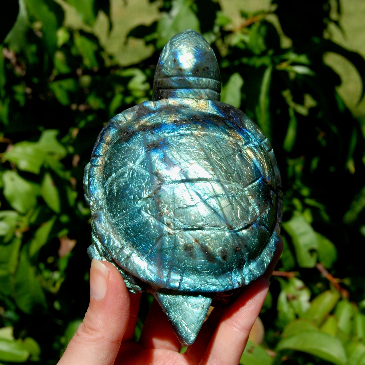 Large flashy Labradorite Crystal Turtle carving, 5.5 inches, 712 grams