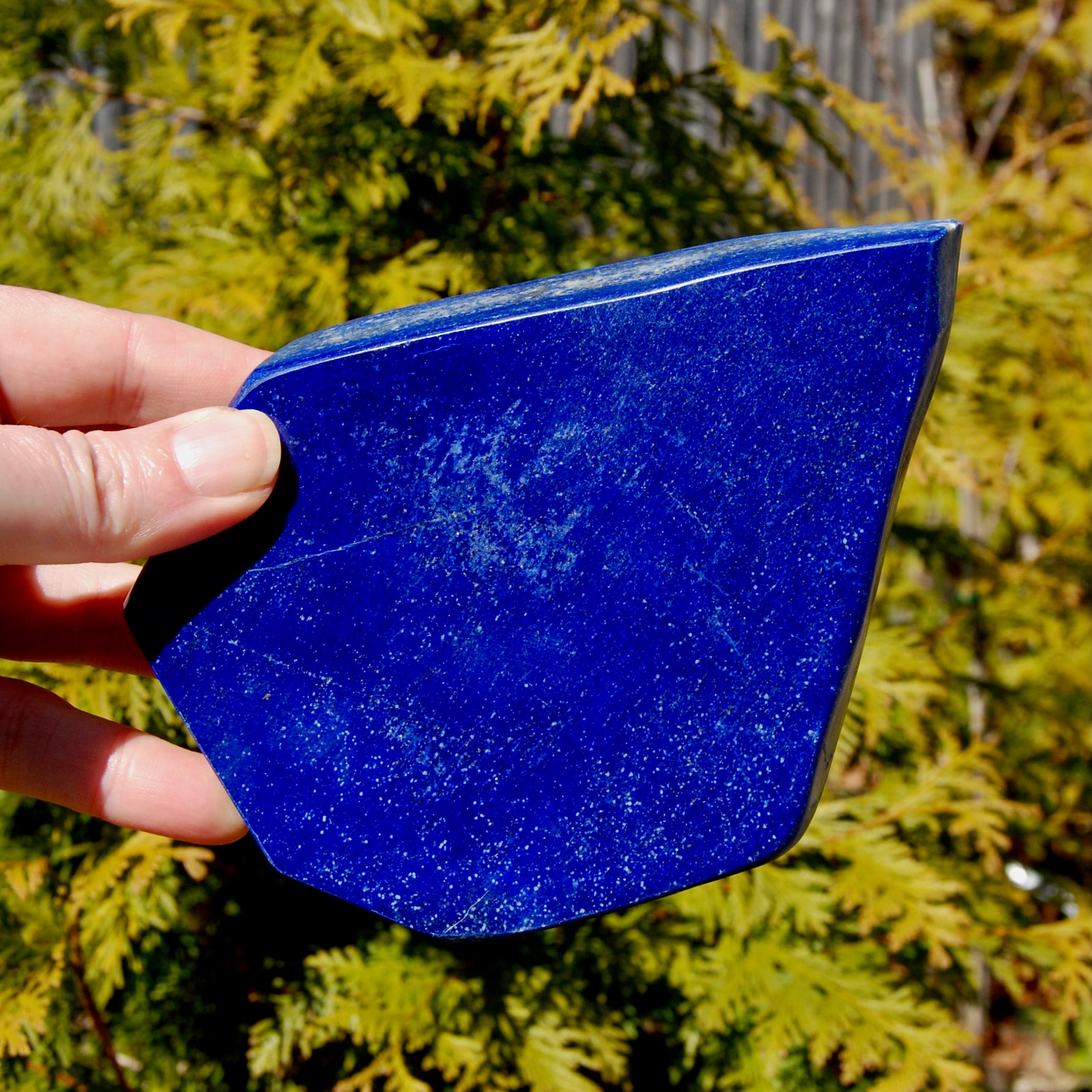 Lapis Lazuli Crystal Freeform Tower