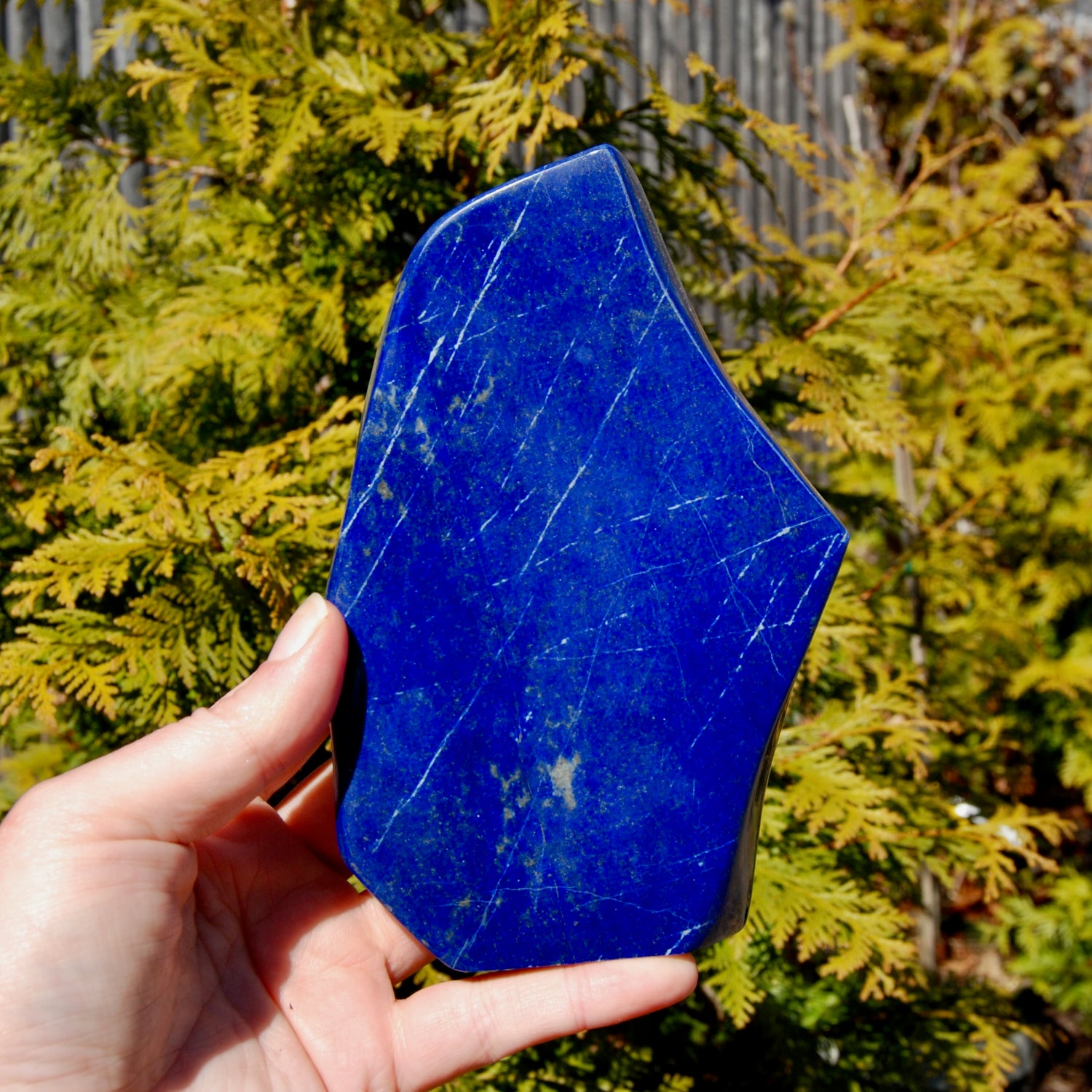 Lapis Lazuli Crystal Freeform Tower