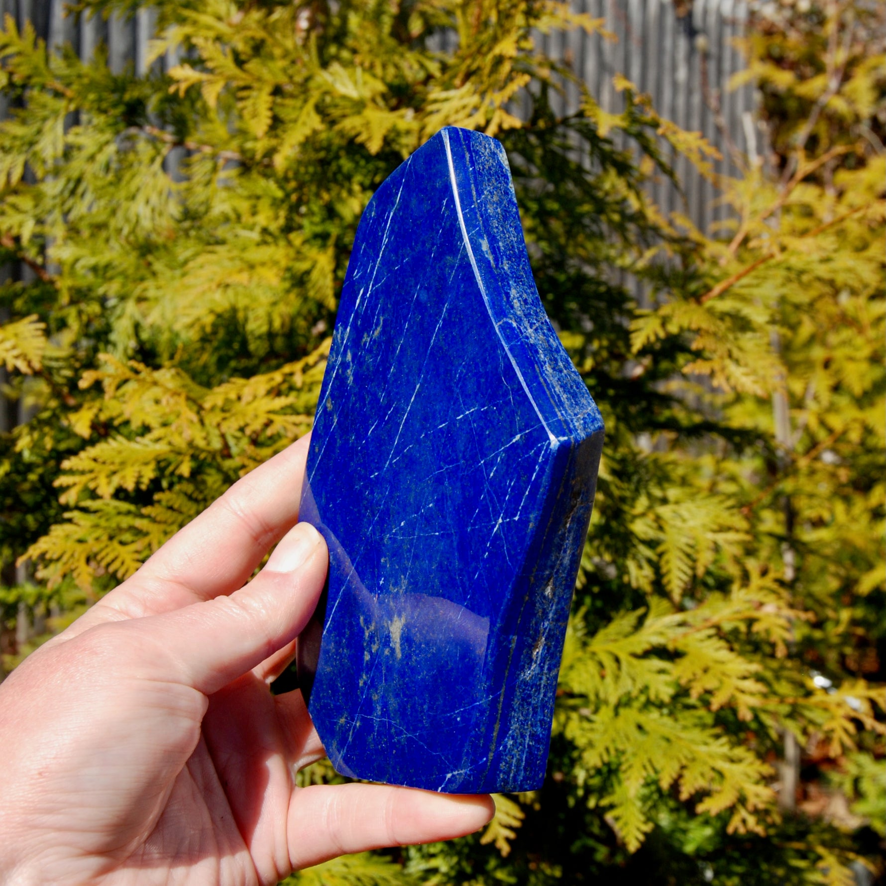 Lapis Lazuli Crystal Freeform Tower
