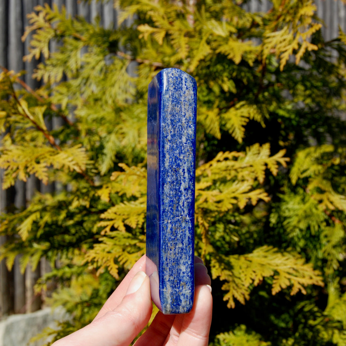 Lapis Lazuli Crystal Freeform Tower