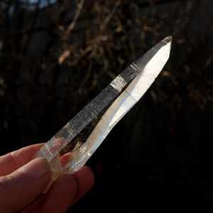 Lemurian crystal