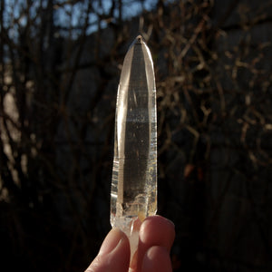 Lemurian crystal