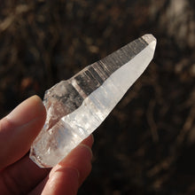 Load image into Gallery viewer, Colombian Lemurian Seed Quartz Crystal Laser Starbrary Record Keepers
